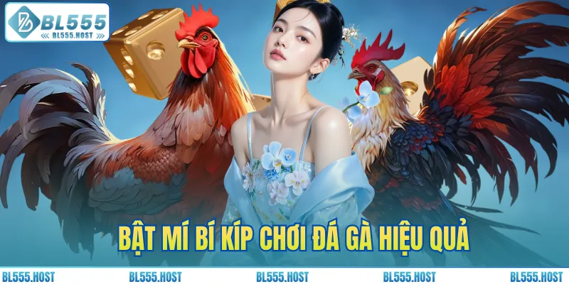 Bật mí bí kíp chơi đá gà hiệu quả