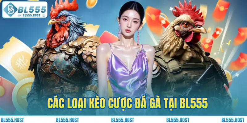 Các loại kèo cược đá gà tại BL555