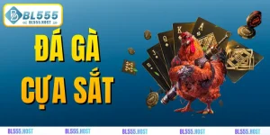 đá gà cựa sắt