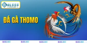 đá gà thomo