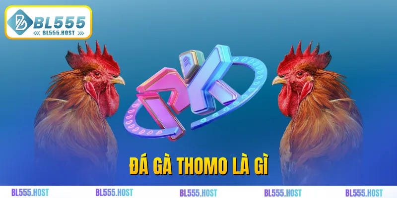 Đá gà thomo là gì