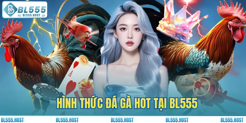 Hình thức đá gà HOT tại BL555