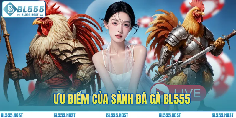 Ưu điểm của sảnh đá gà BL555